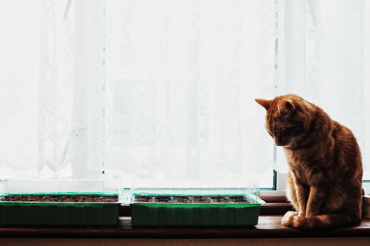 Home photography Nadine Wilmanns