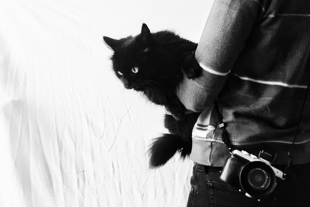 Home stories cat on arm and camera Nadine Wilmanns photography