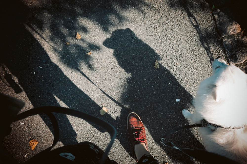 Fashion Memories Shadow stories selfie with dog
