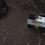 Corona beer and dog