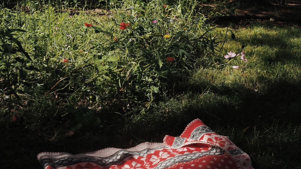 why and time capsules the secrets of happiness blanket in meadow Nadine Wilmanns photography