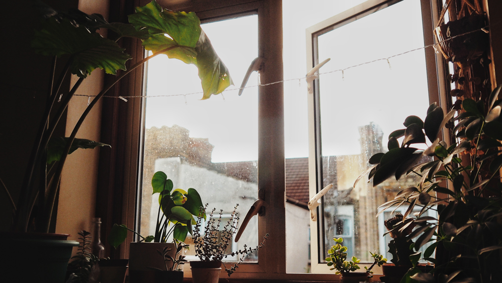 home-photography window view the secrets of happiness Nadine Wilmanns photography