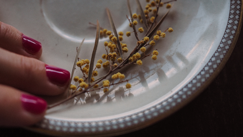 enjoy. Hand on dried plant