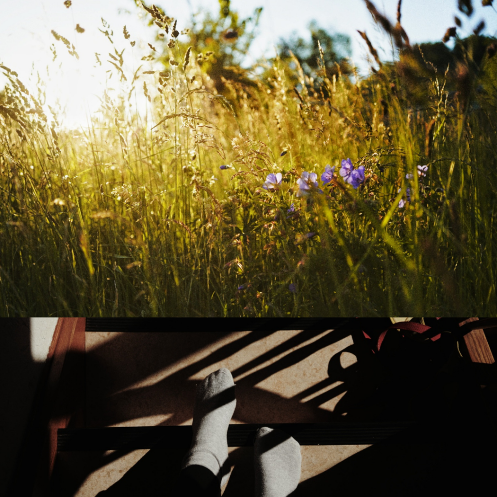 shine and go with the flow - grass and socks in good light