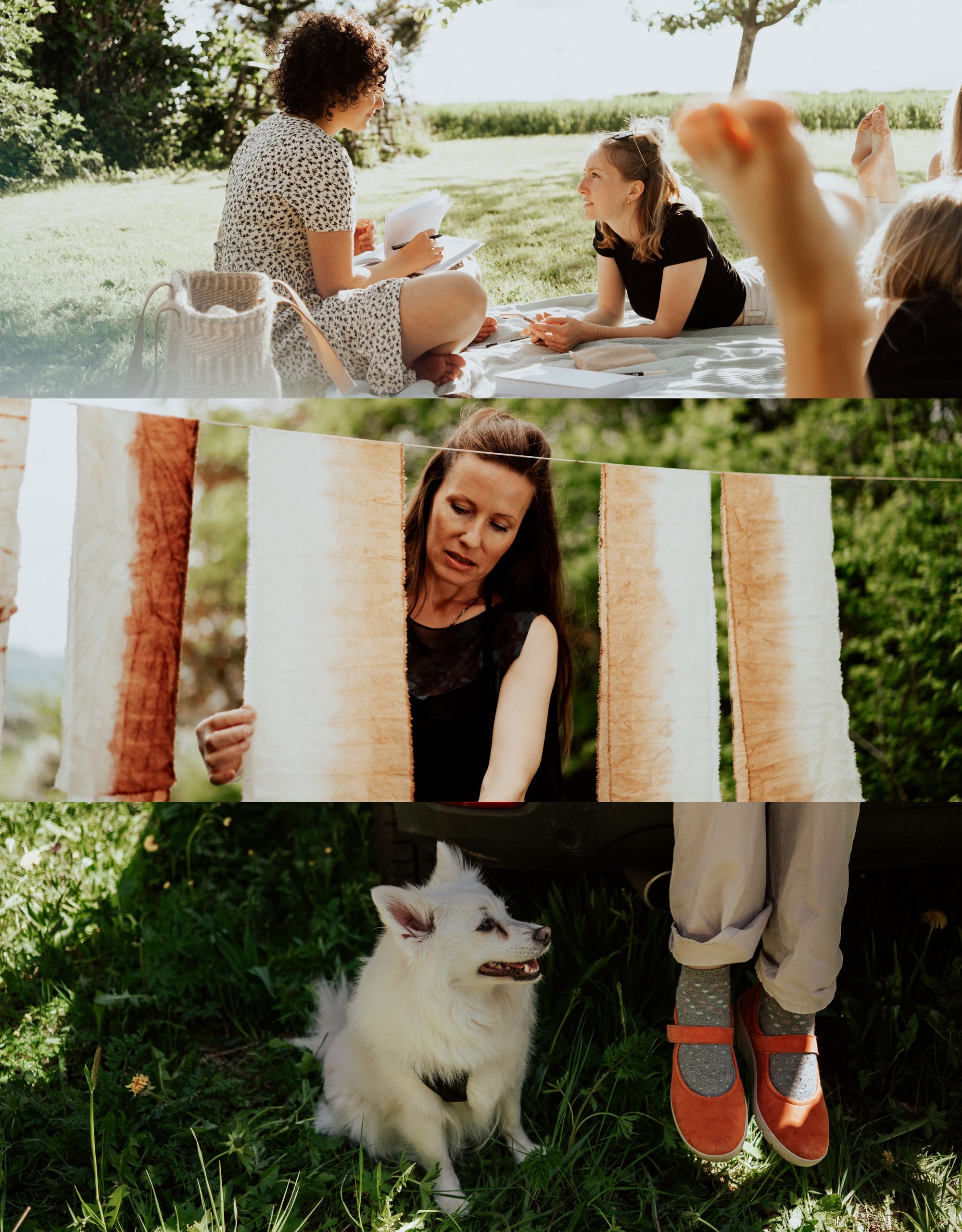 a day in your life with friends and dog