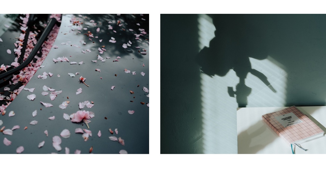 petals on car and light in studio atelier in Metzingen