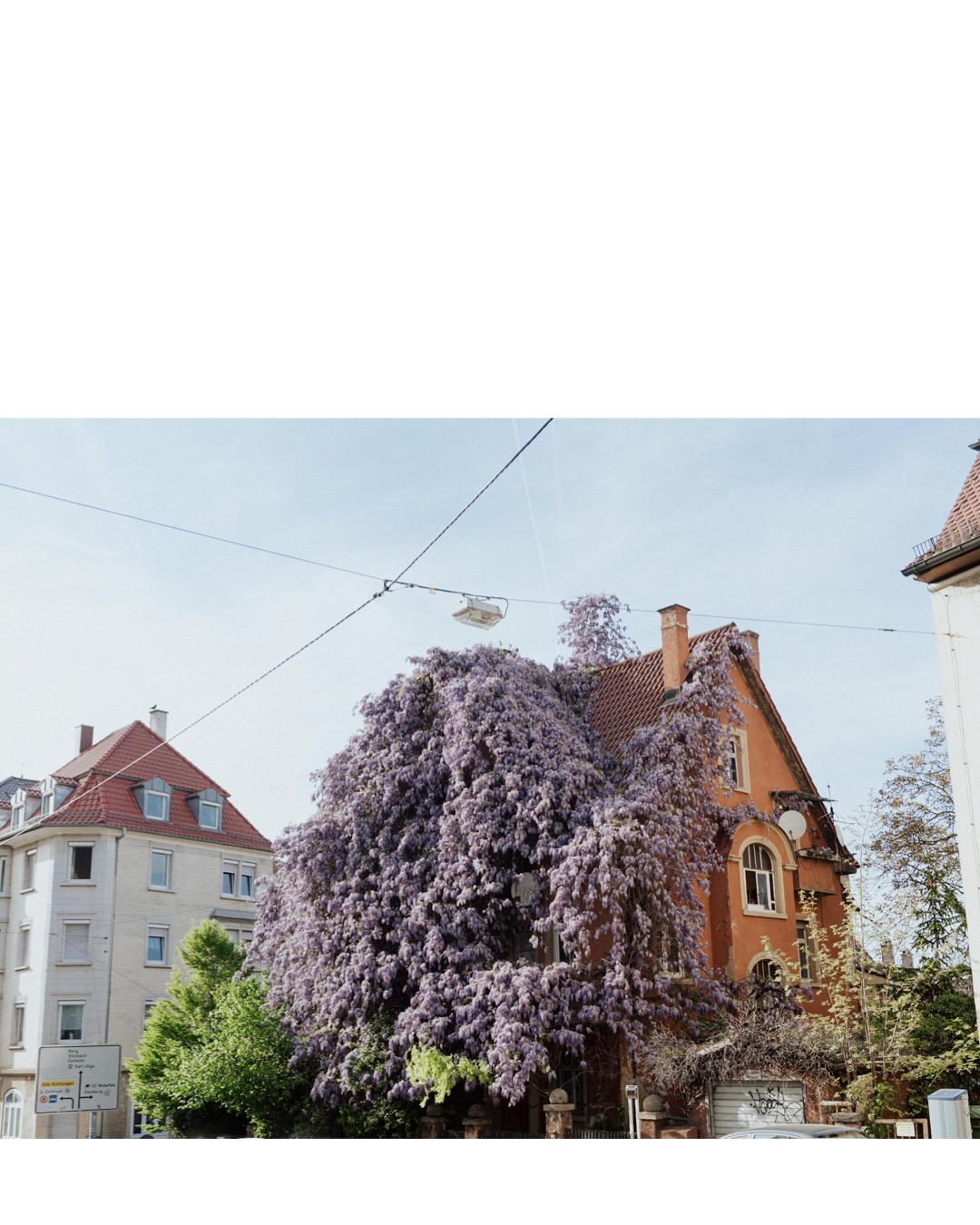 real life moment with a overgrown house in Stuttgart