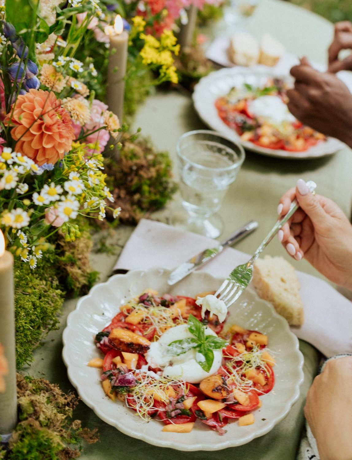 Dinner in the Woods