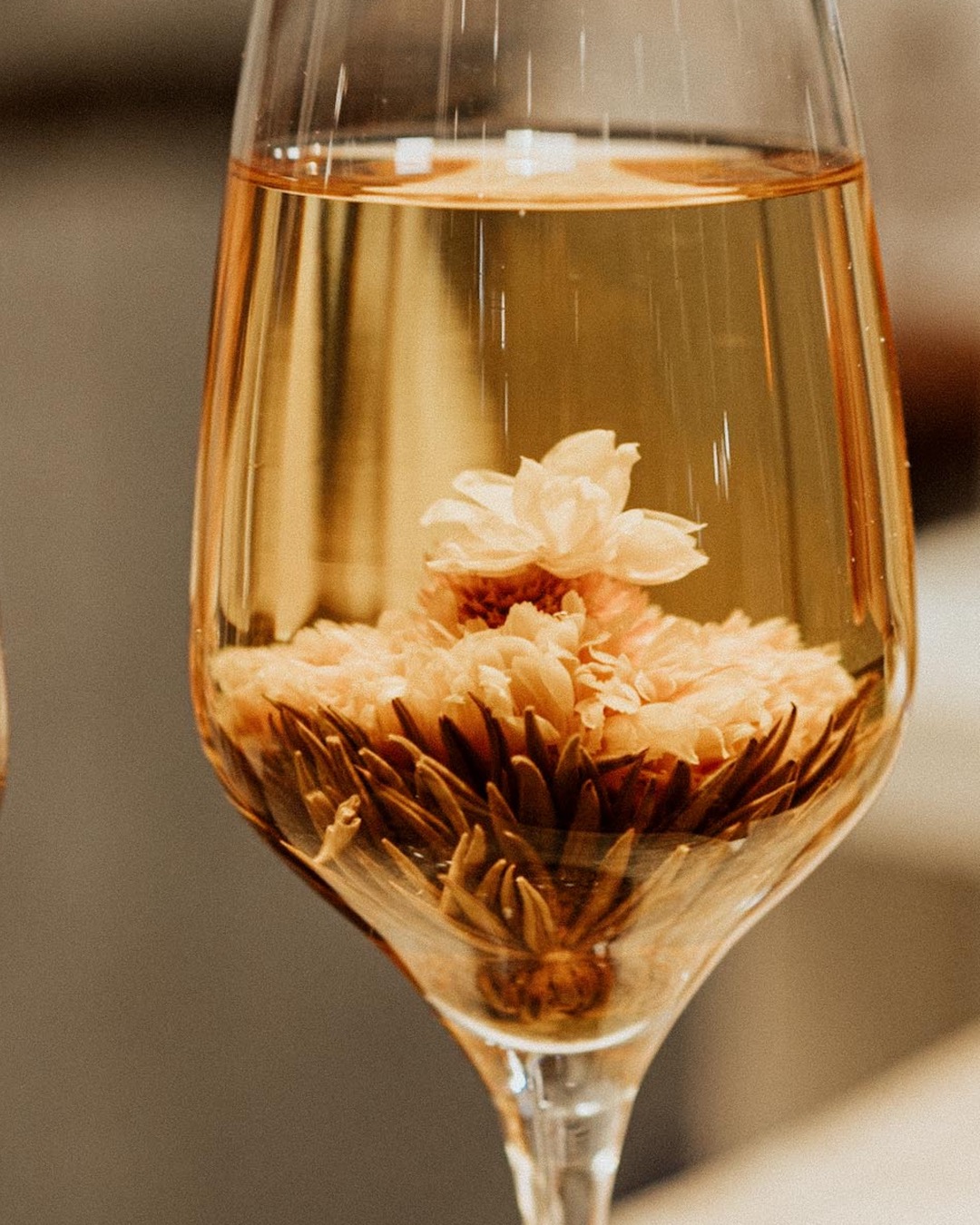 Detail Photo of a flower in a glass