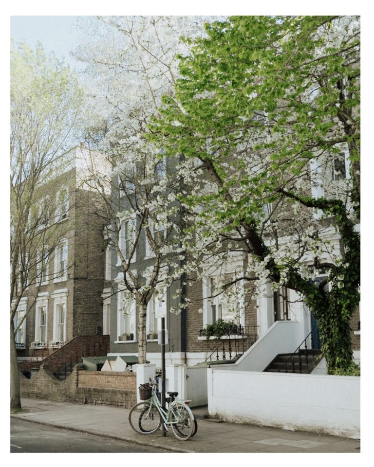 a London street in Hackney with a bike and a tree in afternoon light