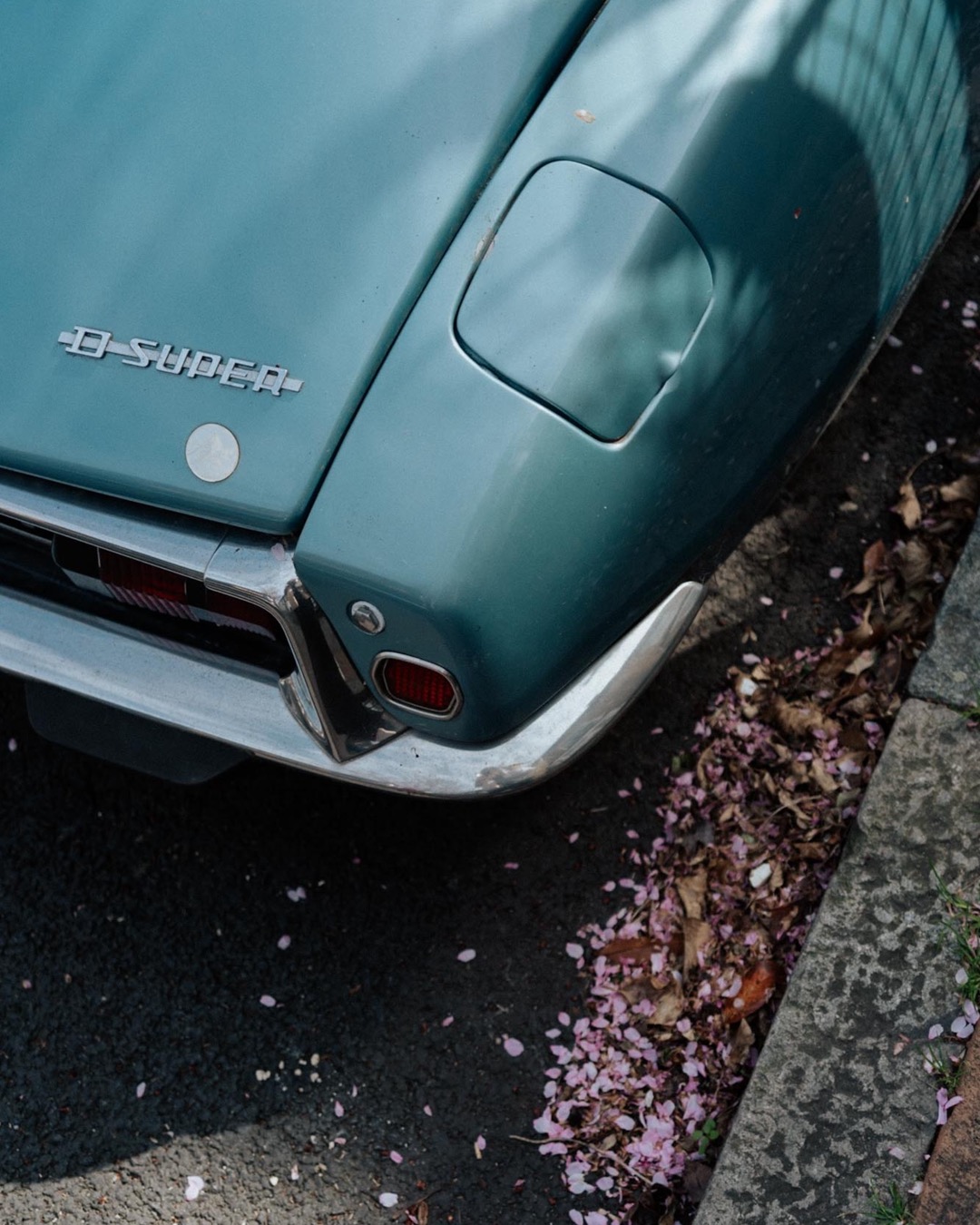 time traveller car next to pink petals on street